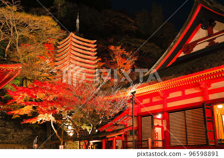 [Nara Prefecture] Autumn leaves light up at Tanzan Shrine (thirteen-storied pagoda and shrine worship place) 96598891