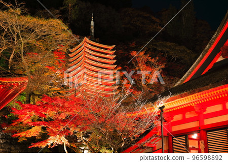[Nara Prefecture] Autumn leaves light up at Tanzan Shrine (thirteen-storied pagoda and shrine worship place) 96598892