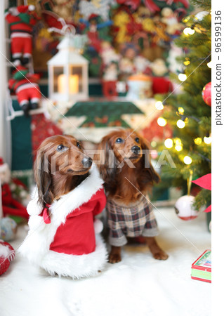 Christmas 96599136
