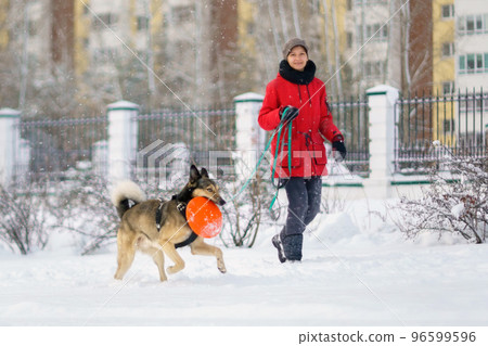 Girl playing with dog in snowy, enjoying the weather. Pet training. Selective focus Girl playing with dog in snowy, enjoying the weather. Pet training. Selective focus 96599596