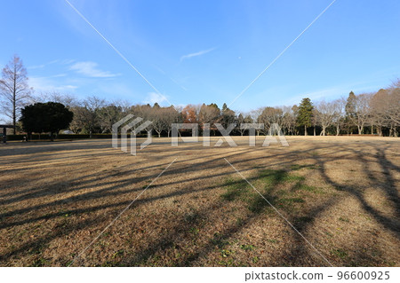 A grassy field that turned brown in winter 96600925