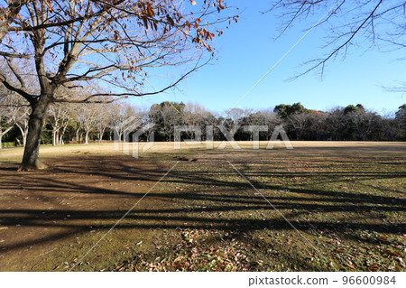 A grassy field that turned brown in winter A grassy field that turned brown in winter 96600984