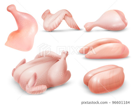 Realistic Chicken Set 96601184