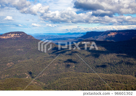 Eucalyptus forest and clouds in the blue sky seen in the Blue Mountains outside Sydney Eucalyptus forest and clouds in the blue sky seen in the Blue Mountains outside Sydney 96601302