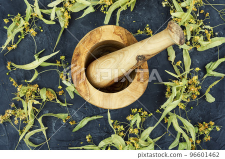 Dried linden blossoms, herbal medicine Dried linden blossoms, herbal medicine 96601462