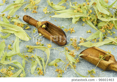 Dried linden blossoms, herbal medicine Dried linden blossoms, herbal medicine 96601463