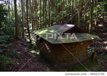 Ruins of Bastian Mansion 96602190