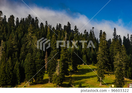 Caucasus mountain in Guria region of Georgia 96603322