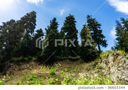 Caucasus mountain in Guria region of Georgia 96603344