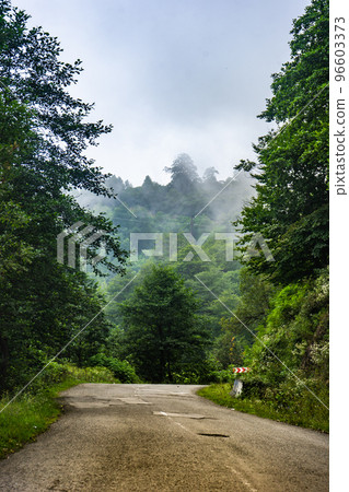 Caucasus mountain in georgian region Guria 96603373