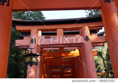伏見稻荷神社Torigo 伏見稻荷神社Torigo 96603562
