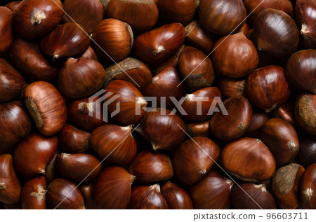 Chestnuts, background from above. Edible nuts of sweet chestnut, Castanea sativa. They can be eaten raw, candied, cooked or milled into flour, or they get roasted and sold as a warm snack on streets. Chestnuts, background from above. Edible nuts of sweet chestnut, Castanea sativa. They can be eaten raw, candied, cooked or milled into flour, or they get roasted and sold as a warm snack on streets. 96603711