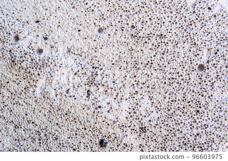 Shell rock limestone texture background 96603975