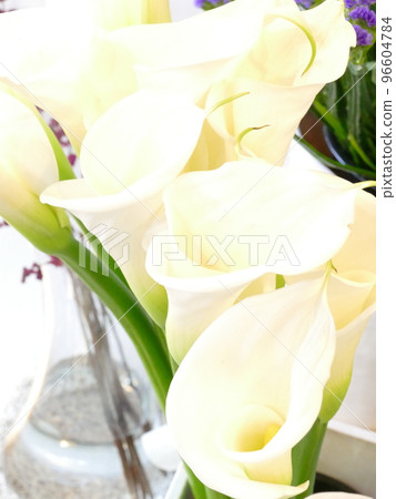 Neat flower "color" 96604784