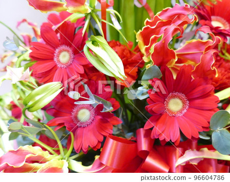 passionate red flowers 96604786