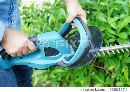 Gardener trimming bush by electric hedge clippers in garden. Hobby at home. Gardener trimming bush by electric hedge clippers in garden. Hobby at home. 96605274