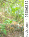 叢林 96606282