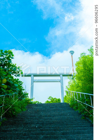 Torii torii Torii torii 96606295
