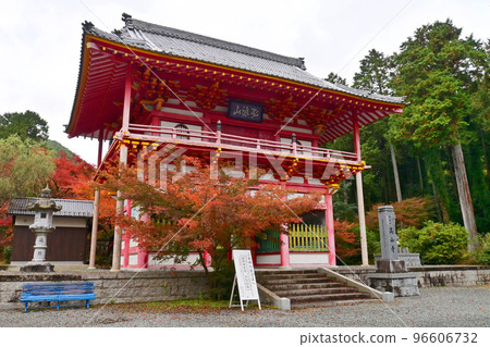 Tamba City, Hyogo Prefecture in Autumn Kozanji temple gate 96606732