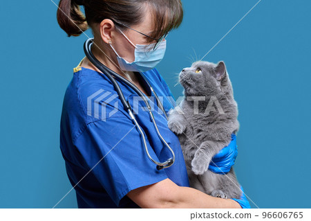 Female doctor veterinarian with cat in her arms, on blue studio background 96606765