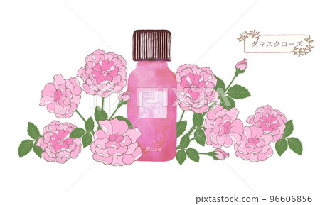 Damask rose, rose scent, rose illustration material, essential oil & aroma Damask rose, rose scent, rose illustration material, essential oil & aroma 96606856