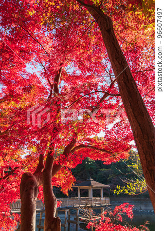 秋天的岡崎東公園<愛知縣岡崎市> 96607497