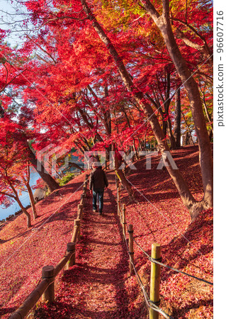 秋天的岡崎東公園<愛知縣岡崎市> 96607716