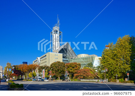 Toyama City Hall and autumn leaves 96607975