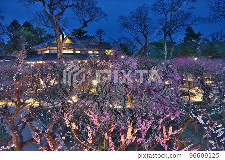 Kitano Tenmangu Shrine Baien "Hana no Niwa" - Night view just after sunset from the observatory Kitano Tenmangu Shrine Baien "Hana no Niwa" - Night view just after sunset from the observatory 96609125
