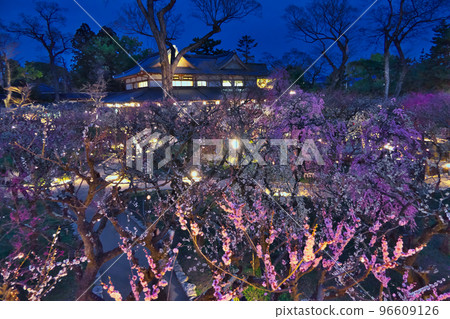 Kitano Tenmangu Shrine Baien "Hana no Niwa" - Night view just after sunset from the observatory 96609126