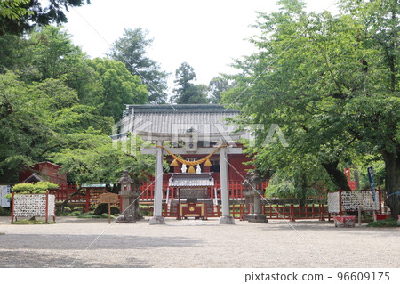 Serada Toshogu Shrine full of greenery in early summer 96609175