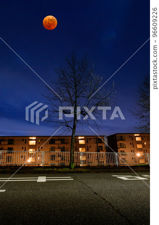 城市燈光和月全食，11 月 8 日，日本寶塚市 96609226