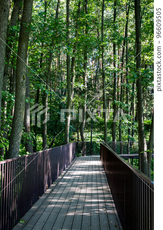 Tourist footbridge with railings laid in the forest for walking Tourist footbridge with railings laid in the forest for walking 96609505