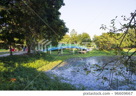 Natural landscape view Reflection of trees in the lake water against blue sky Natural landscape view Reflection of trees in the lake water against blue sky 96609667