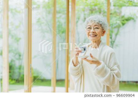 有銀色頭髮的生活方式婦女 有銀色頭髮的生活方式婦女 96609904