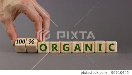100 percent organic symbol. Businessman turns wooden cubes and changes words 'organic' to '100 percent organic'. Beautiful grey background, copy space. Business, healthy lifestyle organic concept. 100 percent organic symbol. Businessman turns wooden cubes and changes words 'organic' to '100 percent organic'. Beautiful grey background, copy space. Business, healthy lifestyle organic concept. 96610445
