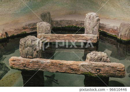 Broken rotten wooden jetty in Denmark Broken rotten wooden jetty in Denmark 96610446