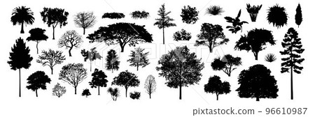 Tree silhouettes, Side view black, set of graphics trees elements outline symbol for architecture and landscape design drawing. Vector illustration in stroke fill . Tropical, oak, maple, poplar 96610987