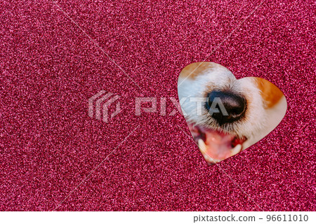 Cute nose and happy smile of dog in heart-shaped cut out in sparkling paper as concept of love 96611010