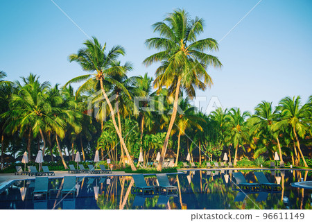 Palm trees and pool 96611149