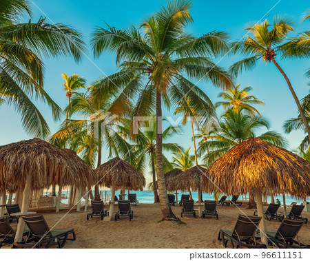 Tropical carribbean beach 96611151