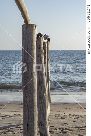 Donana National Park in Spain A UNESCO World Heritage Site Donana National Park in Spain A UNESCO World Heritage Site 96611271