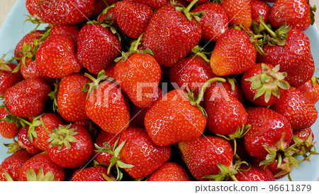 Juicy Red ripe organic strawberries Juicy Red ripe organic strawberries 96611879