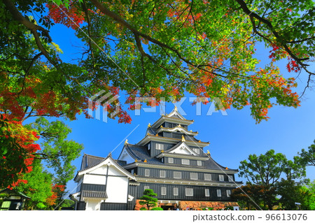 [Okayama Prefecture] Okayama Castle with autumn leaves (after major renovation in Reiwa) 96613076