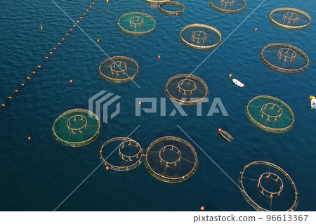 Aerial top drone view of fish farming in the clear waters of the sea. Round cages for growing a variety of fish in the Mediterranean sea 96613367