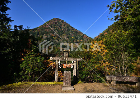 Autumn leaves of Motoise Naiku Kotaijinja Shrine 96613471
