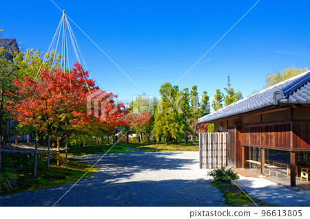 Toyama Suiboku Art Museum Autumn leaves of maple in the garden 96613805