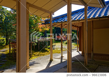 Toyama Suiboku Art Museum Autumn leaves of maple in the garden Toyama Suiboku Art Museum Autumn leaves of maple in the garden 96613806