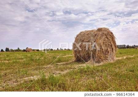 Haystack harvest agriculture field landscape. Agriculture field haystack view. Haystack harvest agriculture field landscape. Agriculture field haystack view. 96614364