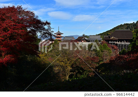 Kiyomizudera秋葉 Kiyomizudera秋葉 96614442